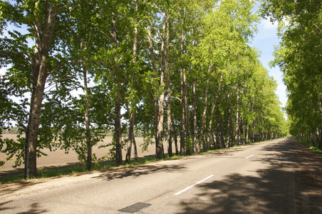 乡村路。秋天道路