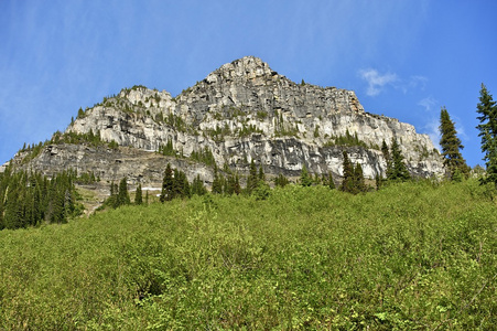 蒙大拿州夏天风景