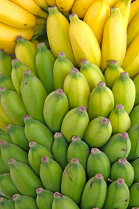 大串香蕉，黄色至绿色
