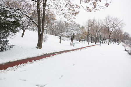 清空道路和雪在布达佩斯玛格丽特岛