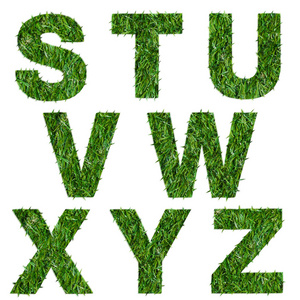 字母 s t u v w x y z 的绿草上白色孤立