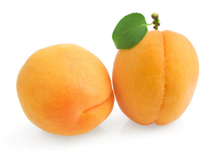 两个成熟杏子与白色背景上的一片叶子