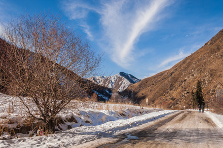 田北俊议员山