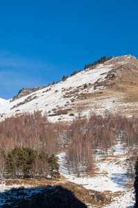 田北俊议员山