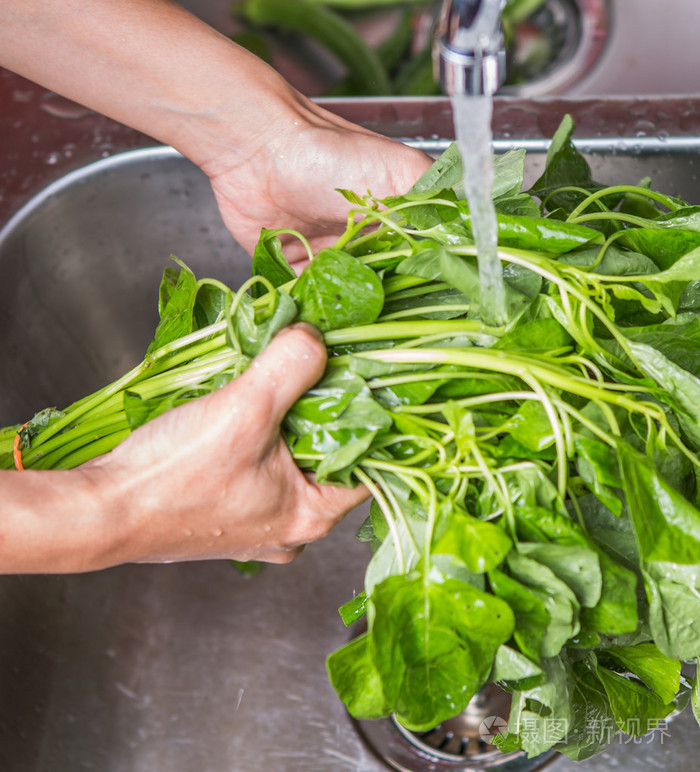 清洗菠菜蔬菜