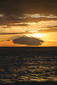 金色的夕阳黄金夕日