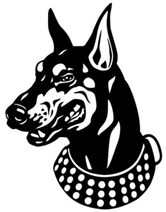 杜宾头黑白色插画