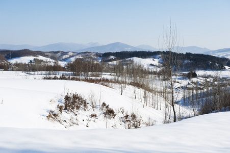 冬季景观