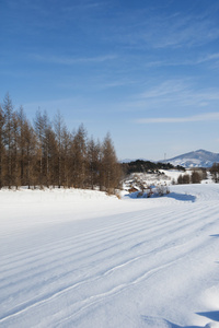 冬季景观