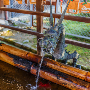 在兴福寺寺庙在奈良龙喷泉