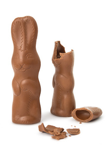 孤立的巧克力兔子