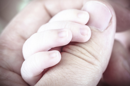 新出生的婴儿拿的手