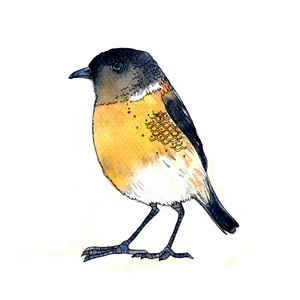 可爱的黄色小鸟水彩风格向量插图