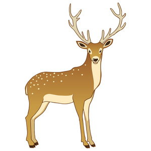 驯鹿群图片-驯鹿群素材-驯鹿群插画-摄图新视界