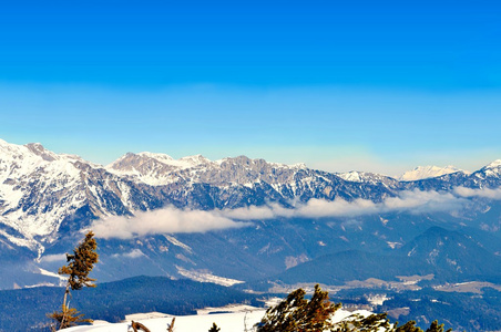 阿尔卑斯山全景