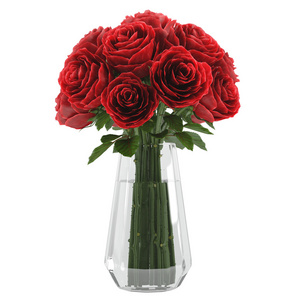 红玫瑰花盆图片