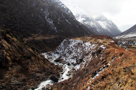 山中雪