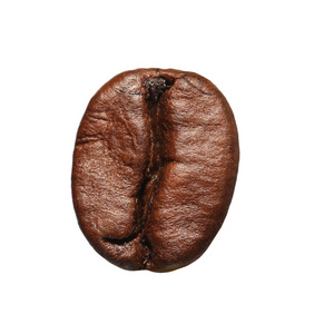 咖啡豆隔离