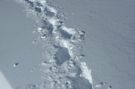 新鲜的雪，在纽约的街道上