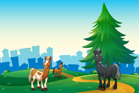 在山顶上穿过这个村庄的三匹马照片