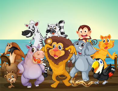 一群动物在港口照片