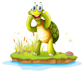 微笑的绿海龟在一个小岛