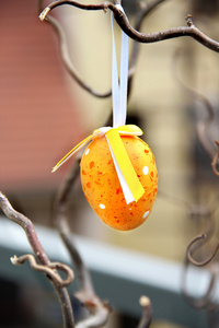 复活节彩蛋挂在树上