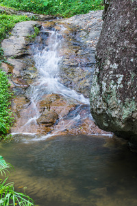 白内障在 hauykeaw 瀑布 茵素培科教公园 泰国
