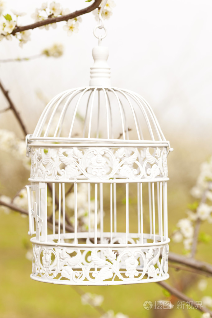 漂亮的装饰笼子里