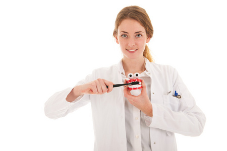 用画笔和义齿显示何做牙医