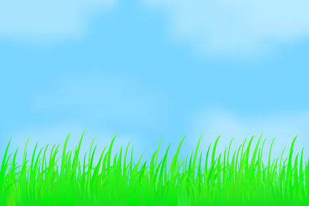 朦胧的天空映衬的绿草