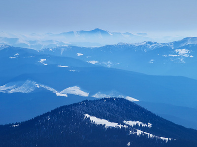 山和森林