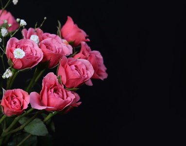 黑色背景上的粉红玫瑰花束