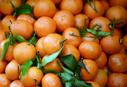 mandarines 背景