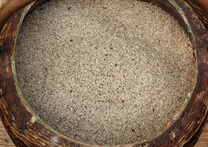 糙米稻穗