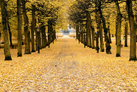 在斯德哥尔摩的秋天