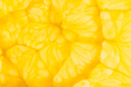 柑橘类水果背景