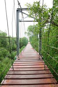 这座木桥去红树林