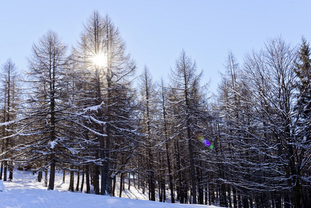 冬山风光山水意大利雪