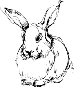 图像的长耳朵的兔子