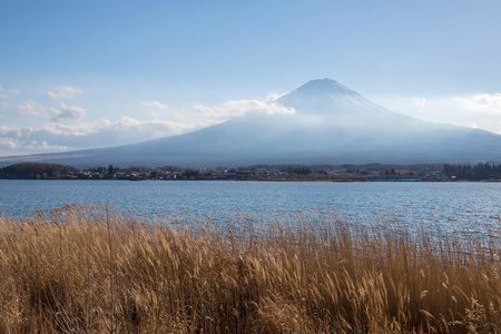 富士山 kawaguchigo 湖日本