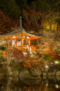 daigoji 寺京都的夜晚