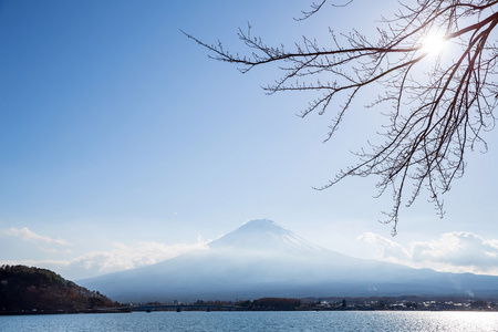 山富士湖 kawaguchigo 日本