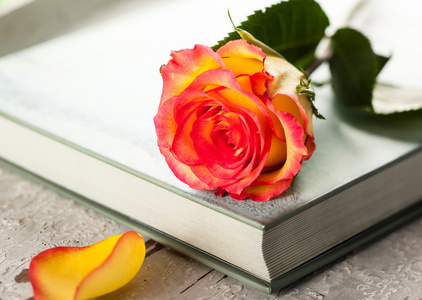 花在书上图片-花在书上素材-花在书上插画-摄图新视界