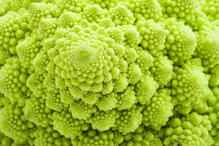 romanesco 西兰花