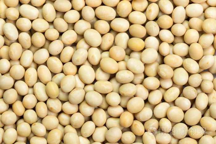 黄豆