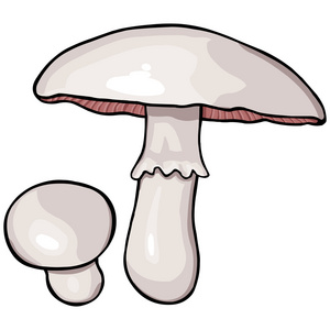 两个香菇矢量卡通香菇照片