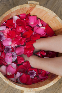 在白色背景上孤立的卡通风格的矢量图木桌上的木桶上的鲜粉牡丹玫瑰