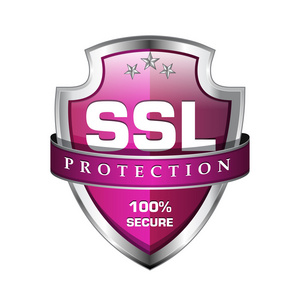 ssl 保护安全盾牌图标