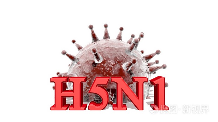 h5n1病毒